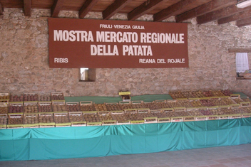 La Mostra Mercato Regionale della Patata di Ribis di Reana del Rojale