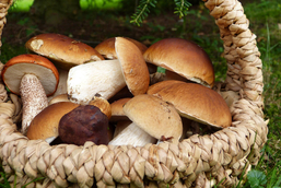 Ricetta cappelle di porcini con patate