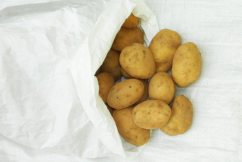 La Patata (Solanum Tuberosum)