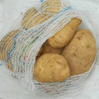 Patate Varietà Kennebek